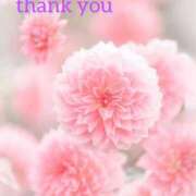 ヒメ日記 2026/03/09 19:47 投稿 こなつ 吉野ケ里人妻デリヘル 「デリ夫人」