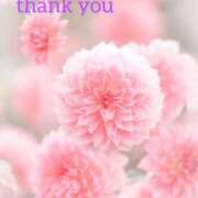 ヒメ日記 2026/03/22 18:22 投稿 こなつ 吉野ケ里人妻デリヘル 「デリ夫人」