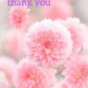 こなつ お礼です💕 吉野ケ里人妻デリヘル 「デリ夫人」