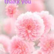 ヒメ日記 2026/03/28 17:35 投稿 こなつ 吉野ケ里人妻デリヘル 「デリ夫人」