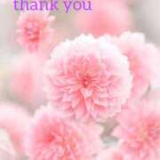 ヒメ日記 2026/04/08 17:02 投稿 こなつ 吉野ケ里人妻デリヘル 「デリ夫人」