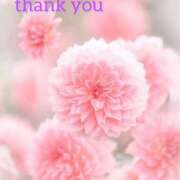 ヒメ日記 2026/04/11 17:35 投稿 こなつ 吉野ケ里人妻デリヘル 「デリ夫人」