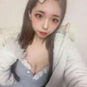 ヒメ日記 2025/11/03 11:45 投稿 アオ きらめけ！にゃんにゃん学園in大宮