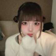 ヒメ日記 2026/03/11 12:02 投稿 アオ きらめけ！にゃんにゃん学園in大宮