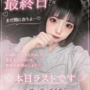 ヒメ日記 2026/05/22 11:45 投稿 アオ きらめけ！にゃんにゃん学園in大宮