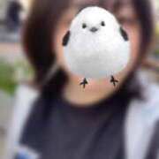 ヒメ日記 2026/04/19 11:49 投稿 中田 鶯谷デッドボール