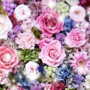 ヒメ日記 2025/11/09 02:36 投稿 小林香澄 五十路マダムエクスプレス横浜店（カサブランカグループ）