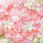 ヒメ日記 2026/01/13 19:14 投稿 小林香澄 五十路マダムエクスプレス横浜店（カサブランカグループ）