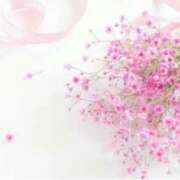 ヒメ日記 2026/01/20 08:58 投稿 小林香澄 五十路マダムエクスプレス横浜店（カサブランカグループ）