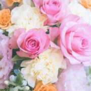 ヒメ日記 2026/01/24 10:12 投稿 小林香澄 五十路マダムエクスプレス横浜店（カサブランカグループ）