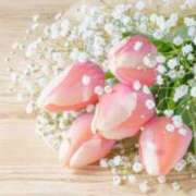 ヒメ日記 2026/01/28 19:40 投稿 小林香澄 五十路マダムエクスプレス横浜店（カサブランカグループ）