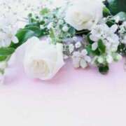 ヒメ日記 2026/02/25 09:04 投稿 小林香澄 五十路マダムエクスプレス横浜店（カサブランカグループ）