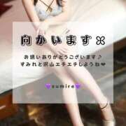 ヒメ日記 2025/12/31 15:56 投稿 すみれ EXE【都城本店】