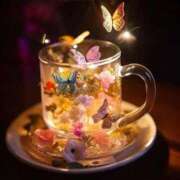 ヒメ日記 2025/11/14 21:37 投稿 こころ トリプルA