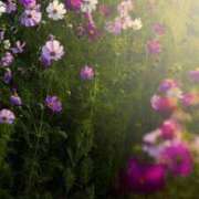 こころ 11月感謝🧸 トリプルA