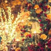 こころ 12月の日程 トリプルA