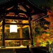 ヒメ日記 2025/12/31 20:57 投稿 こころ トリプルA