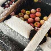 こころ 2026〜♡ トリプルA