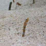 ヒメ日記 2026/01/25 09:07 投稿 こころ トリプルA