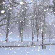 ヒメ日記 2026/02/08 09:47 投稿 こころ トリプルA