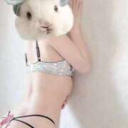 ヒメ日記 2026/02/12 14:41 投稿 しおり 日本妻