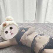 ヒメ日記 2026/03/01 12:53 投稿 しおり 日本妻