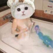 ヒメ日記 2026/03/02 04:47 投稿 しおり 日本妻