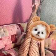 ヒメ日記 2026/03/25 13:21 投稿 しおり 日本妻