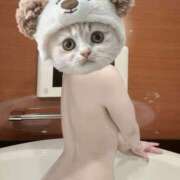 ヒメ日記 2026/04/06 01:13 投稿 しおり 日本妻