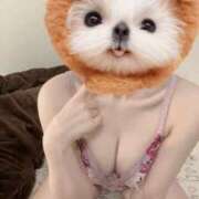 ヒメ日記 2026/04/06 14:13 投稿 しおり 日本妻