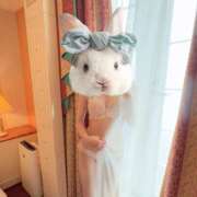 ヒメ日記 2026/04/07 01:28 投稿 しおり 日本妻