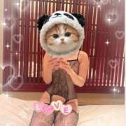 ヒメ日記 2026/04/08 03:15 投稿 しおり 日本妻