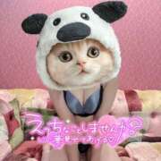 ヒメ日記 2026/04/10 14:01 投稿 しおり 日本妻