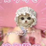 ヒメ日記 2026/05/05 14:22 投稿 しおり 日本妻