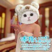 ヒメ日記 2026/05/09 02:53 投稿 しおり 日本妻