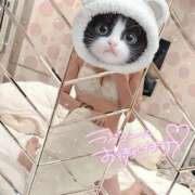 ヒメ日記 2026/05/18 14:40 投稿 しおり 日本妻
