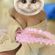 ヒメ日記 2026/07/03 08:30 投稿 しおり 日本妻