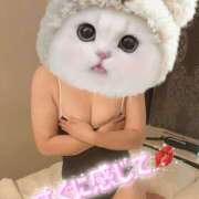 ヒメ日記 2026/07/22 14:49 投稿 しおり 日本妻