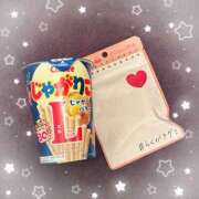 ヒメ日記 2025/11/09 09:00 投稿 なぎさ 川崎三浦屋