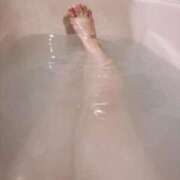 まむ おはよ アネックスジャパン