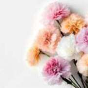 ヒメ日記 2025/12/07 13:56 投稿 らな 待ちナビ