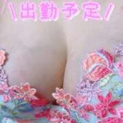 ヒメ日記 2025/11/02 18:12 投稿 萩野 渋谷人妻城