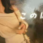 ヒメ日記 2025/11/07 08:25 投稿 このは スパーク日本橋