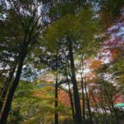 ヒメ日記 2025/11/09 10:04 投稿 このは スパーク日本橋