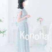 ヒメ日記 2025/11/26 13:10 投稿 このは スパーク日本橋