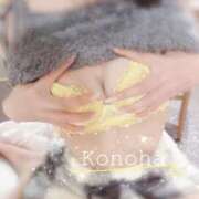 ヒメ日記 2025/12/15 12:11 投稿 このは スパーク日本橋