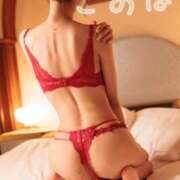 ヒメ日記 2025/12/15 16:42 投稿 このは スパーク日本橋