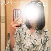 ヒメ日記 2025/12/18 10:29 投稿 このは スパーク日本橋