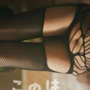 ヒメ日記 2025/12/18 16:17 投稿 このは スパーク日本橋