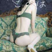 ヒメ日記 2025/12/23 17:07 投稿 このは スパーク日本橋